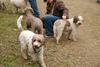 2009-10-03_ntb_9963