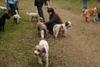 2009-10-03_ntb_9964
