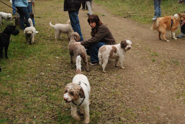 2009-10-03_ntb_9964