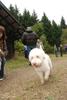 2009-10-03_ntb_9965