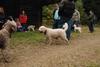 2009-10-03_ntb_9967