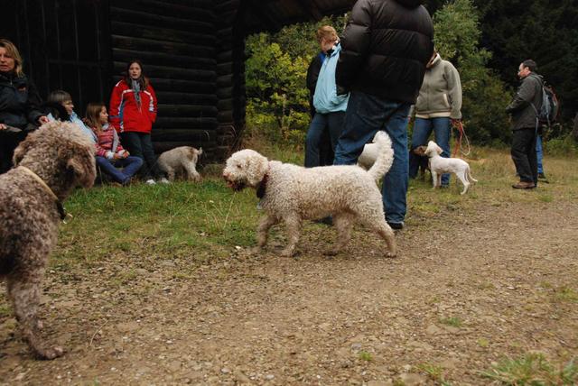 2009-10-03_ntb_9967