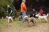 2009-10-03_ntb_9968