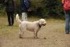 2009-10-03_ntb_9969