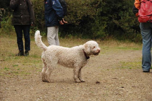 2009-10-03_ntb_9969