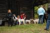 2009-10-03_ntb_9971