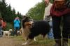 2009-10-03_ntb_9973