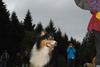 2009-10-03_ntb_9974