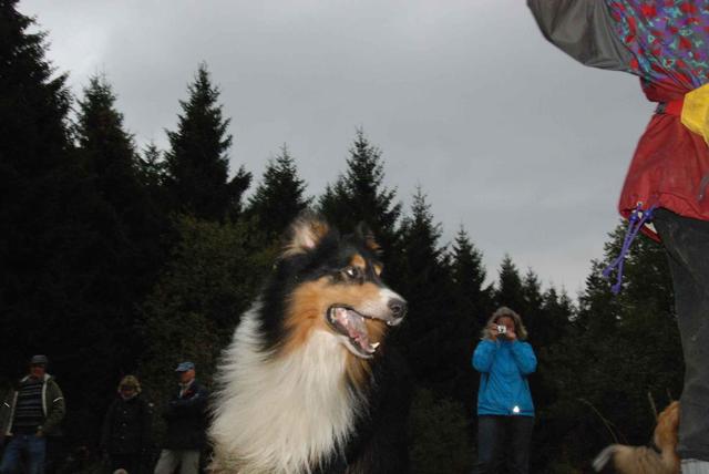 2009-10-03_ntb_9974