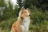 2009-10-03_ntb_9976