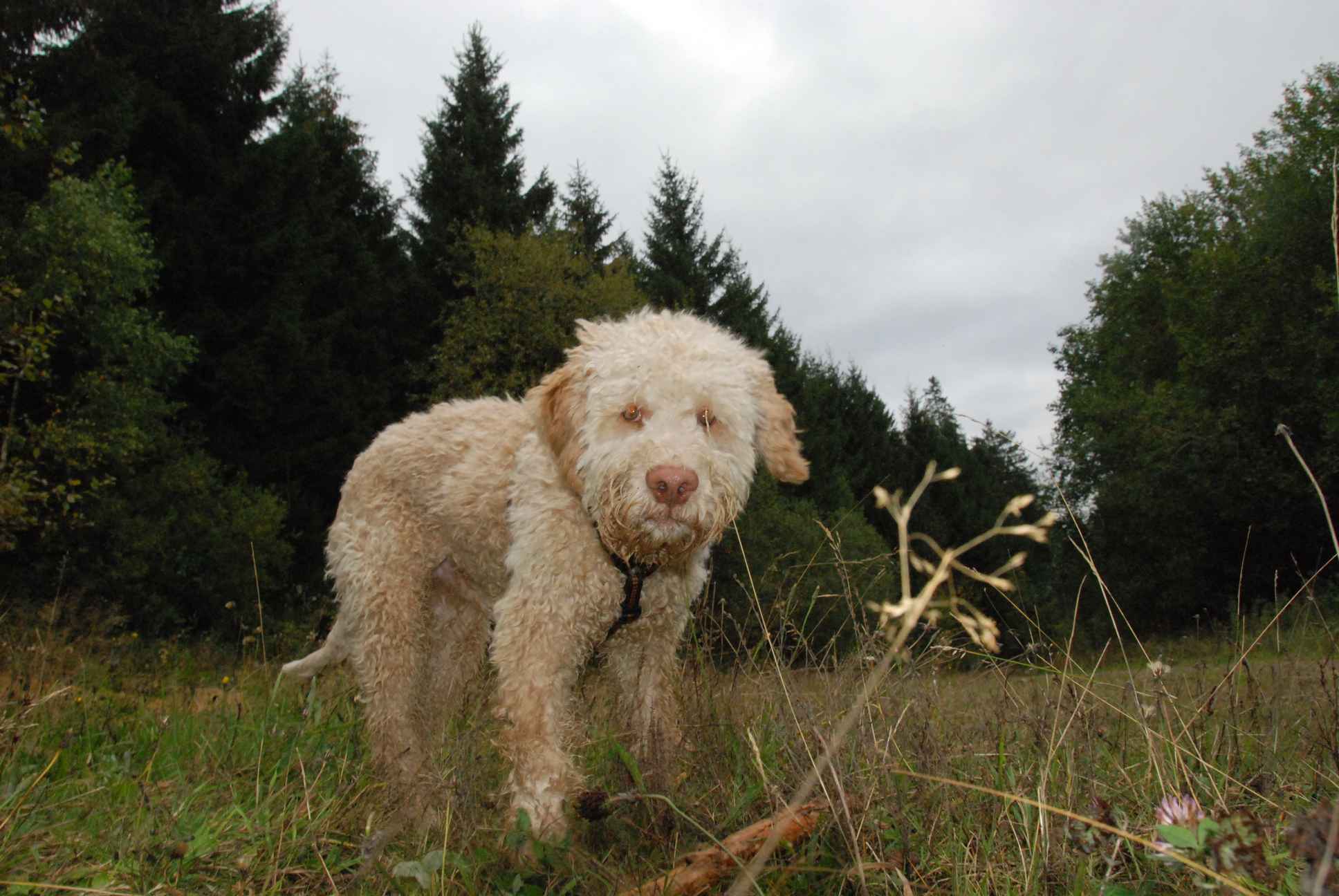 2009-10-03_ntb_9977