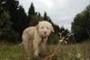 2009-10-03_ntb_9977