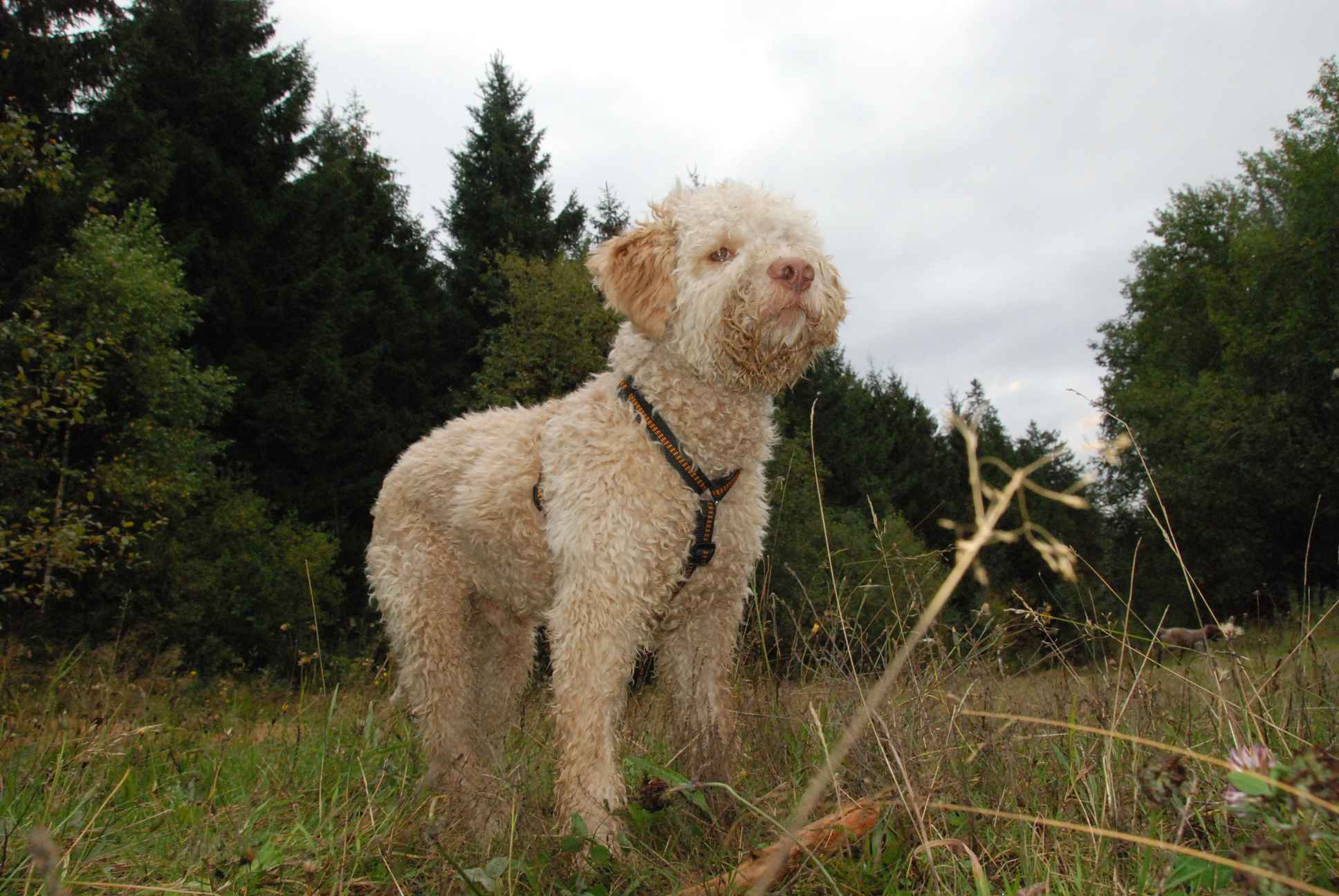 2009-10-03_ntb_9978
