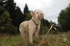 2009-10-03_ntb_9978