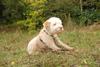 2009-10-03_ntb_9980