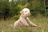 2009-10-03_ntb_9981