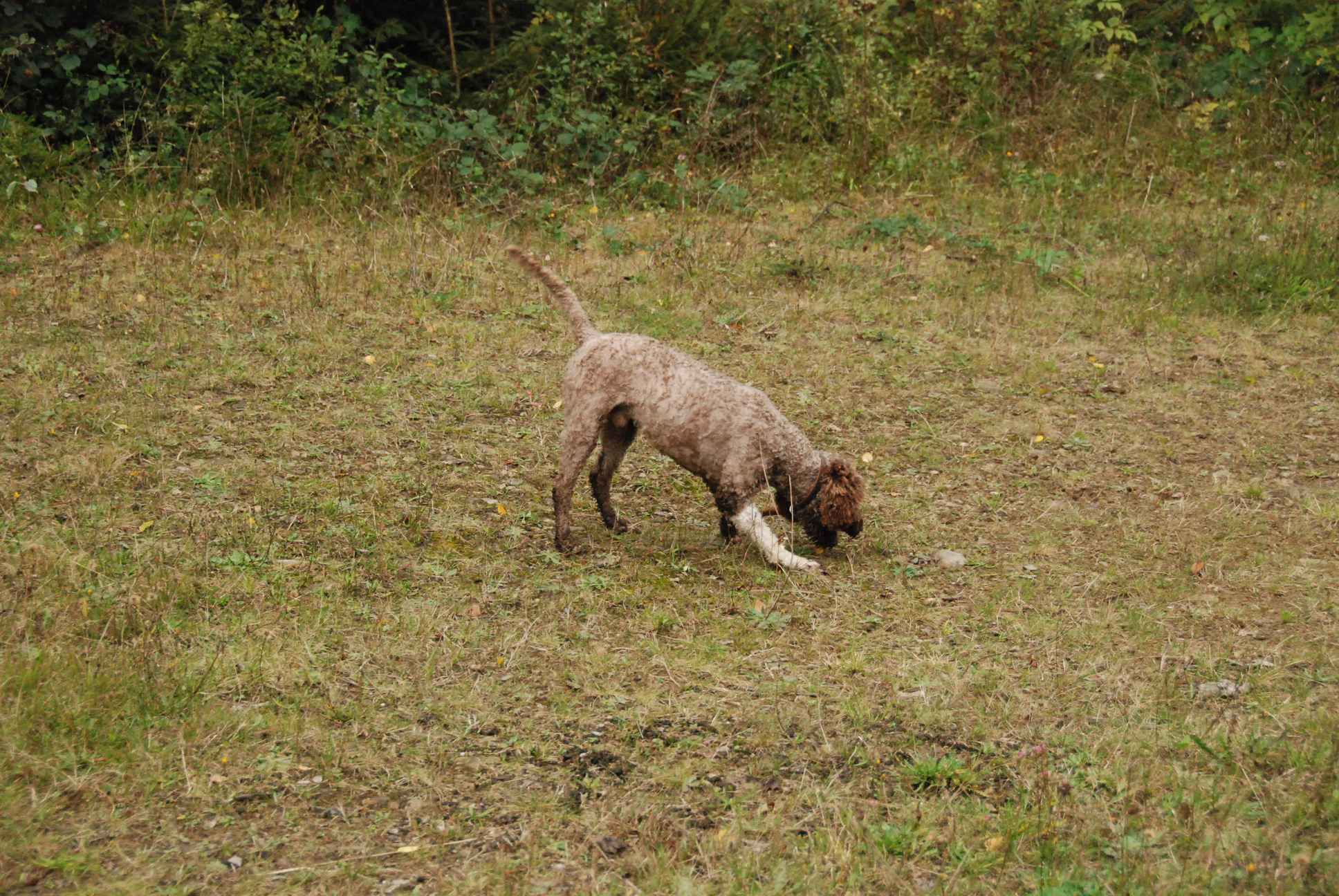 2009-10-03_ntb_9984