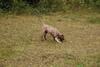 2009-10-03_ntb_9984