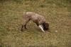 2009-10-03_ntb_9985