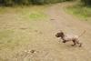 2009-10-03_ntb_9986