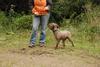 2009-10-03_ntb_9987