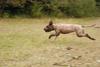 2009-10-03_ntb_9988