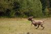 2009-10-03_ntb_9990