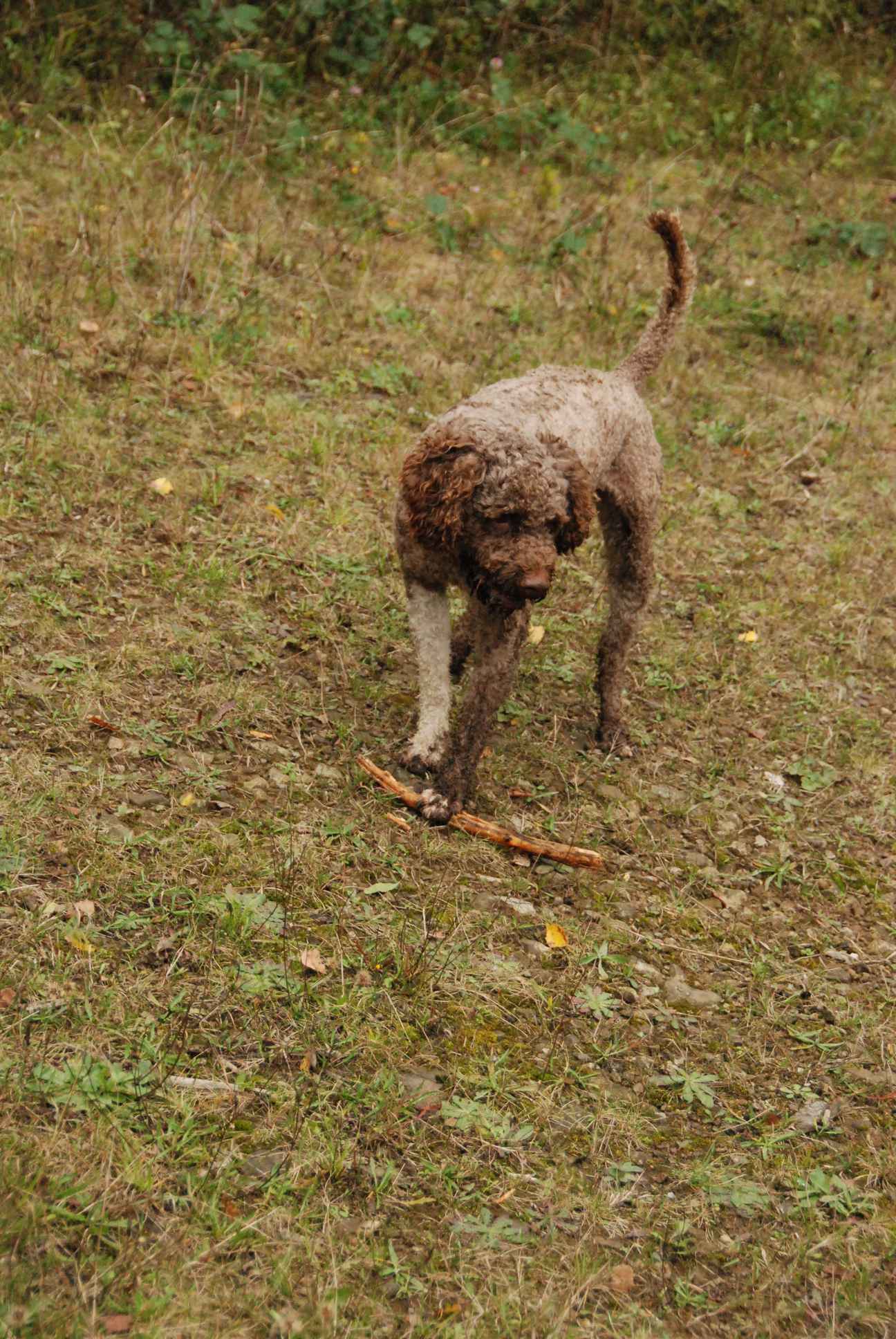 2009-10-03_ntb_9991