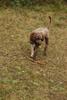 2009-10-03_ntb_9991