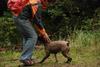 2009-10-03_ntb_9992