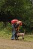 2009-10-03_ntb_9993