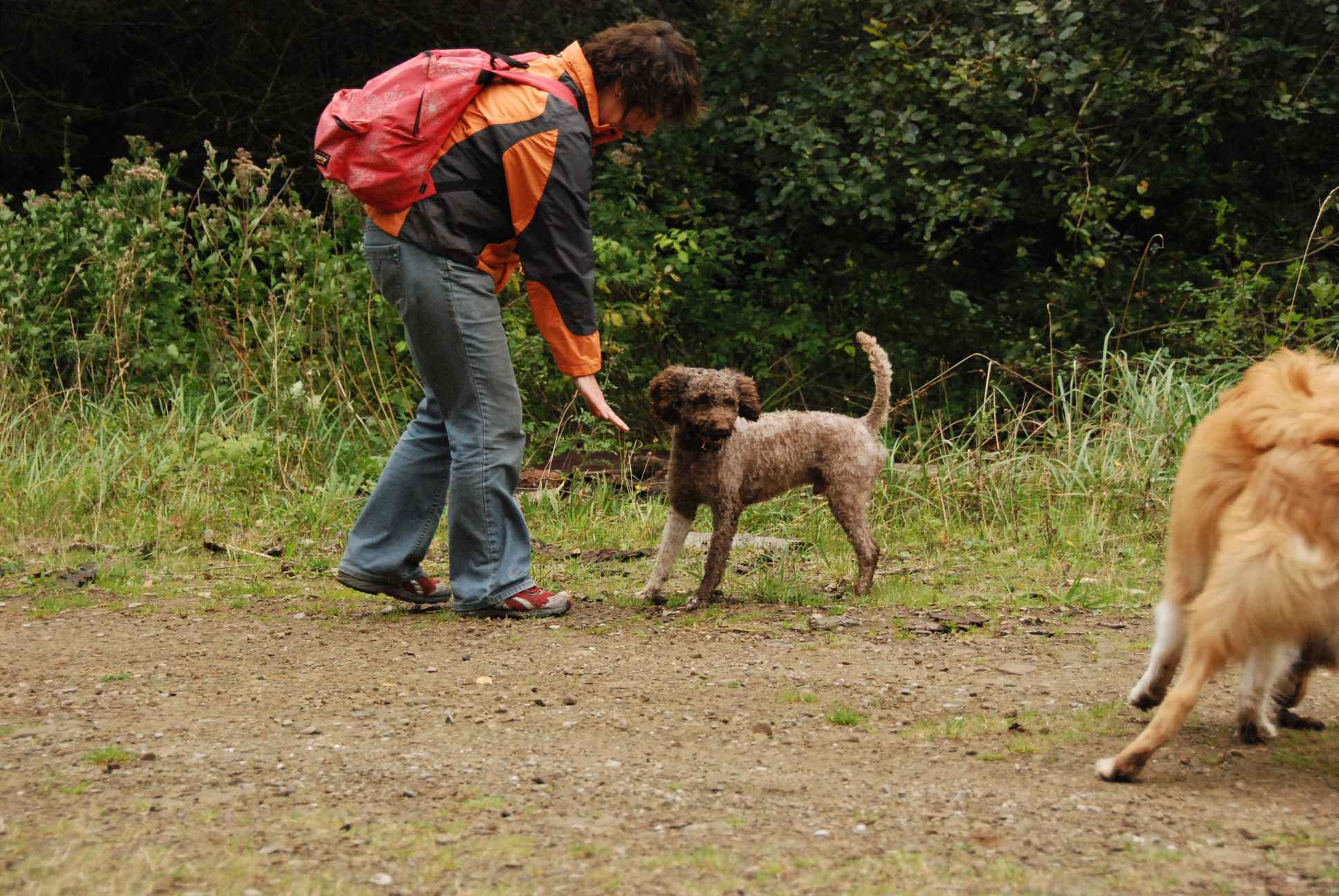 2009-10-03_ntb_9994