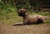 2009-10-03_ntb_9995