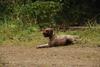 2009-10-03_ntb_9996