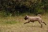 2009-10-03_ntb_9997