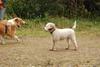 2009-10-03_ntb_9998