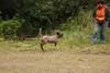 2009-10-03_ntb_9999