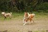 2009-10-03_ntb_0001