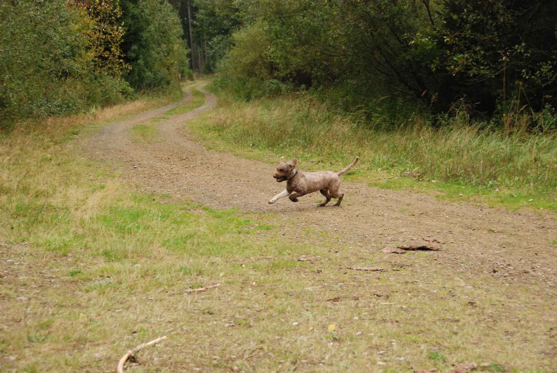 2009-10-03_ntb_0002