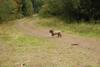 2009-10-03_ntb_0002