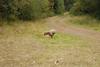 2009-10-03_ntb_0003