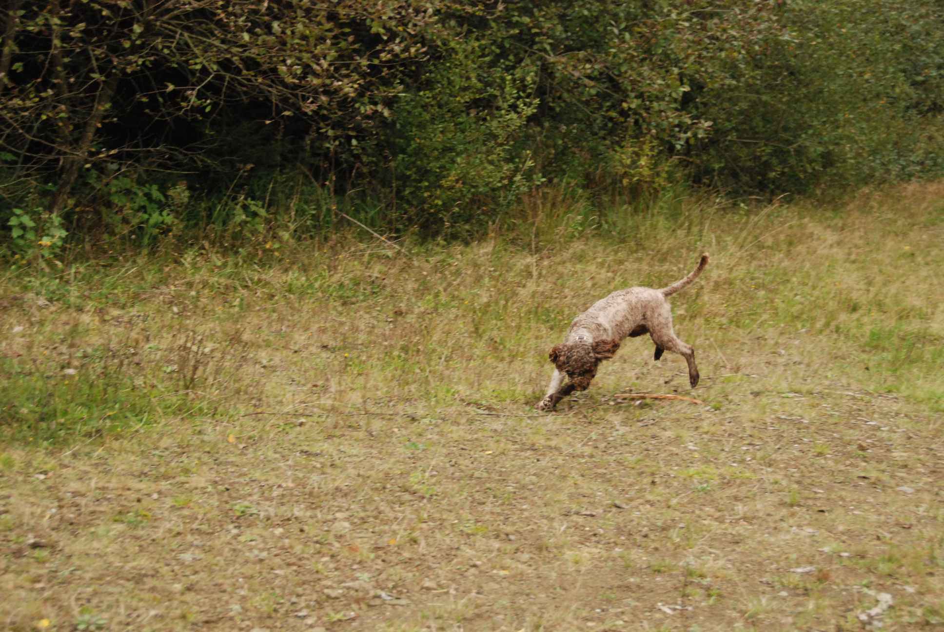 2009-10-03_ntb_0004