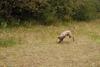 2009-10-03_ntb_0004