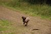 2009-10-03_ntb_0006
