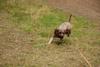 2009-10-03_ntb_0007