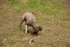 2009-10-03_ntb_0008