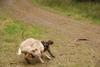 2009-10-03_ntb_0009