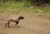 2009-10-03_ntb_0011