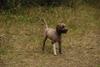 2009-10-03_ntb_0013