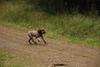 2009-10-03_ntb_0014